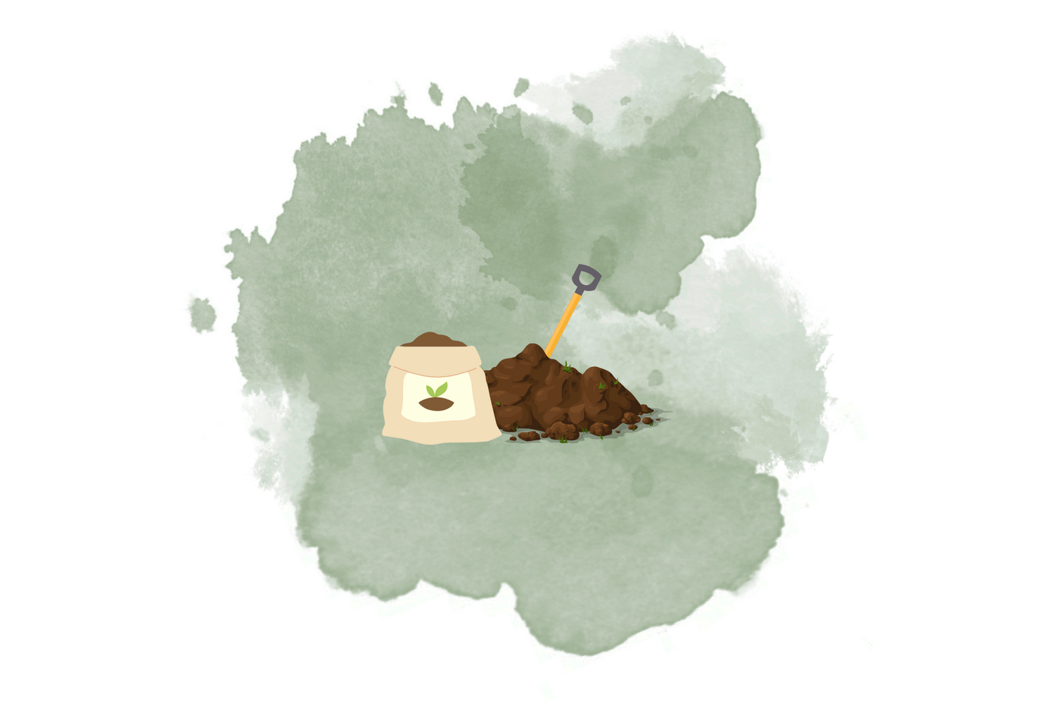 Creare un nuovo prato in pochi semplici passi