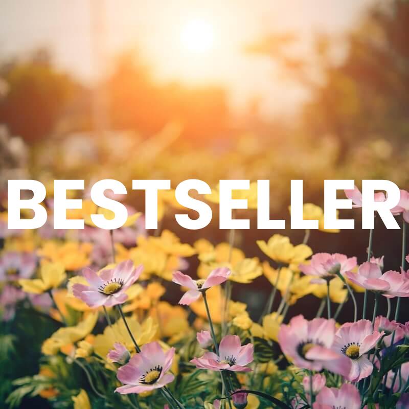 Bestseller