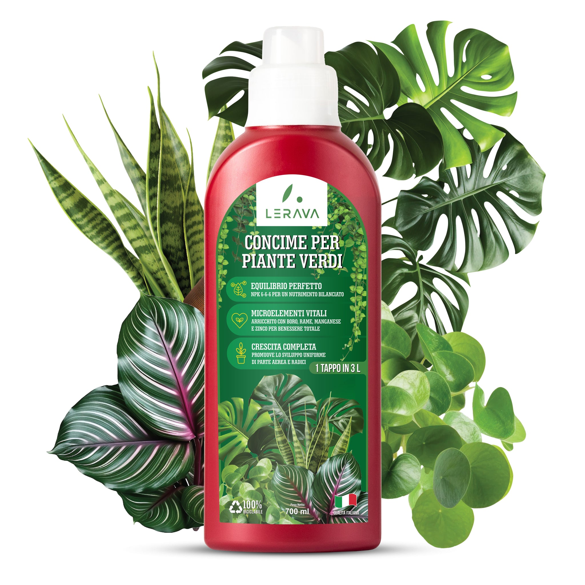 Engrais liquide pour plantes vertes