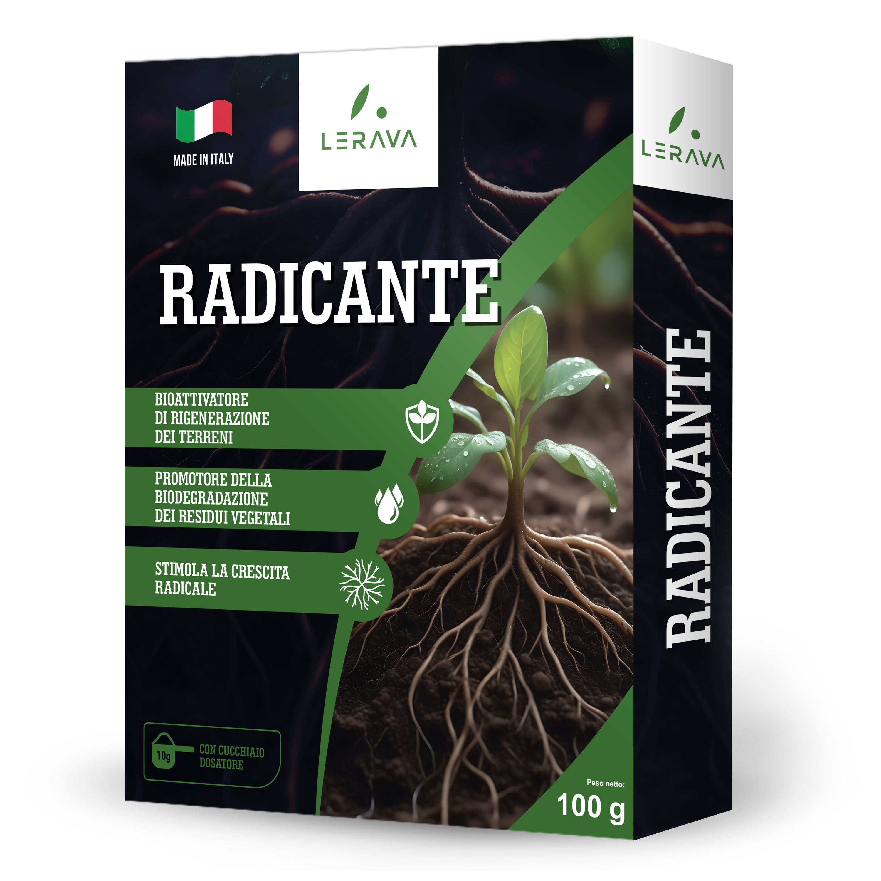 Rootstock for Cutting