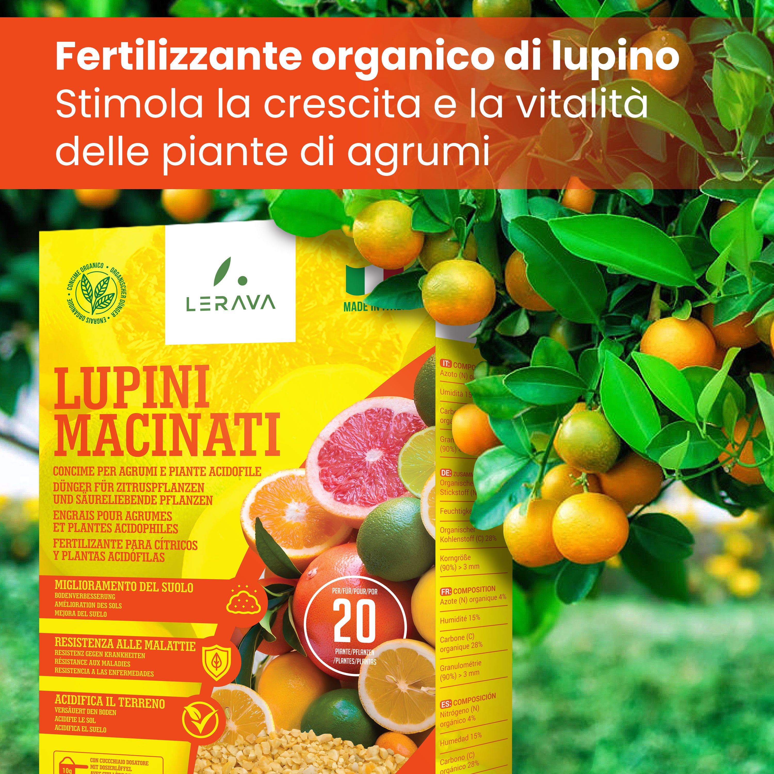 Ground Lupins