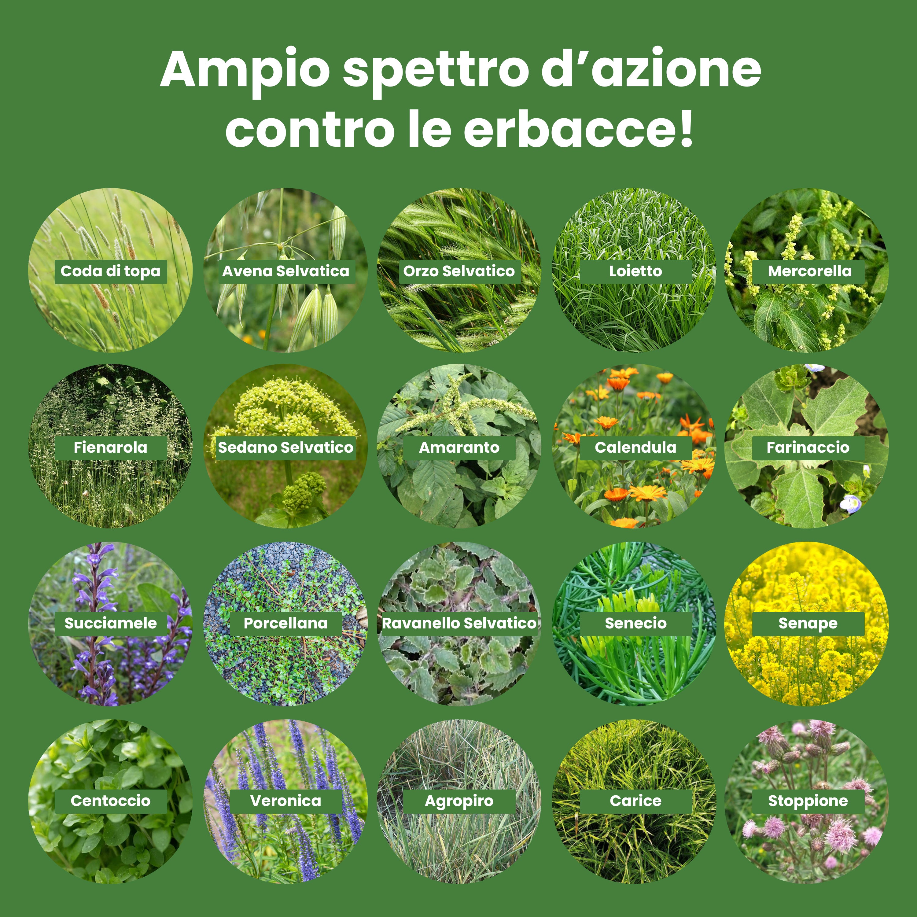 Diserbante totale per erbacce - 500ml glifosate