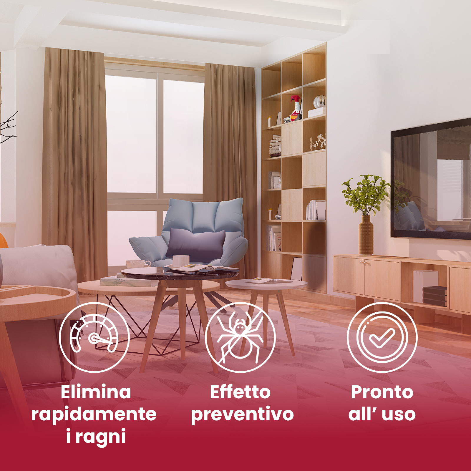 Insetticida Ragni 500ml