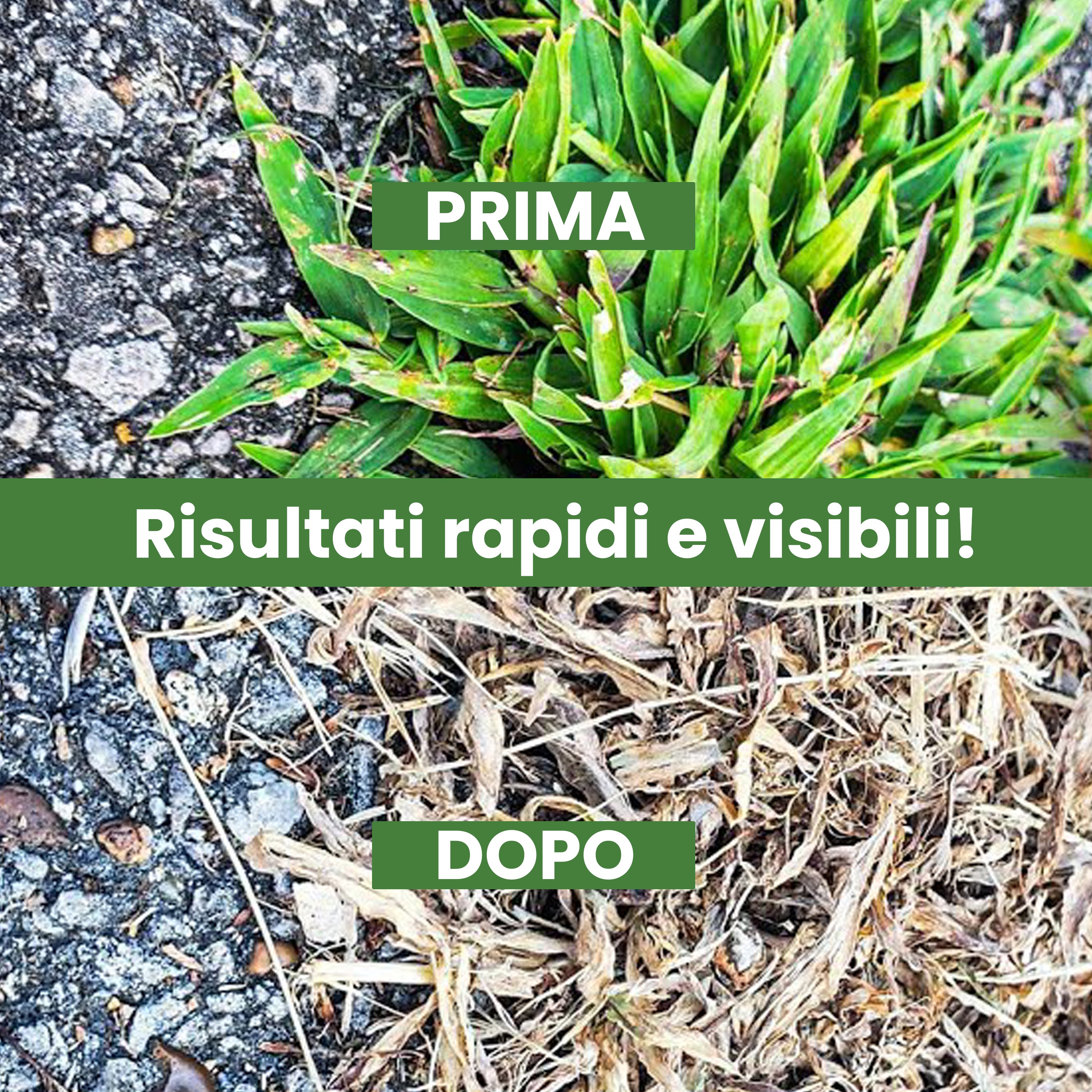 Diserbante totale per erbacce - 500ml glifosate
