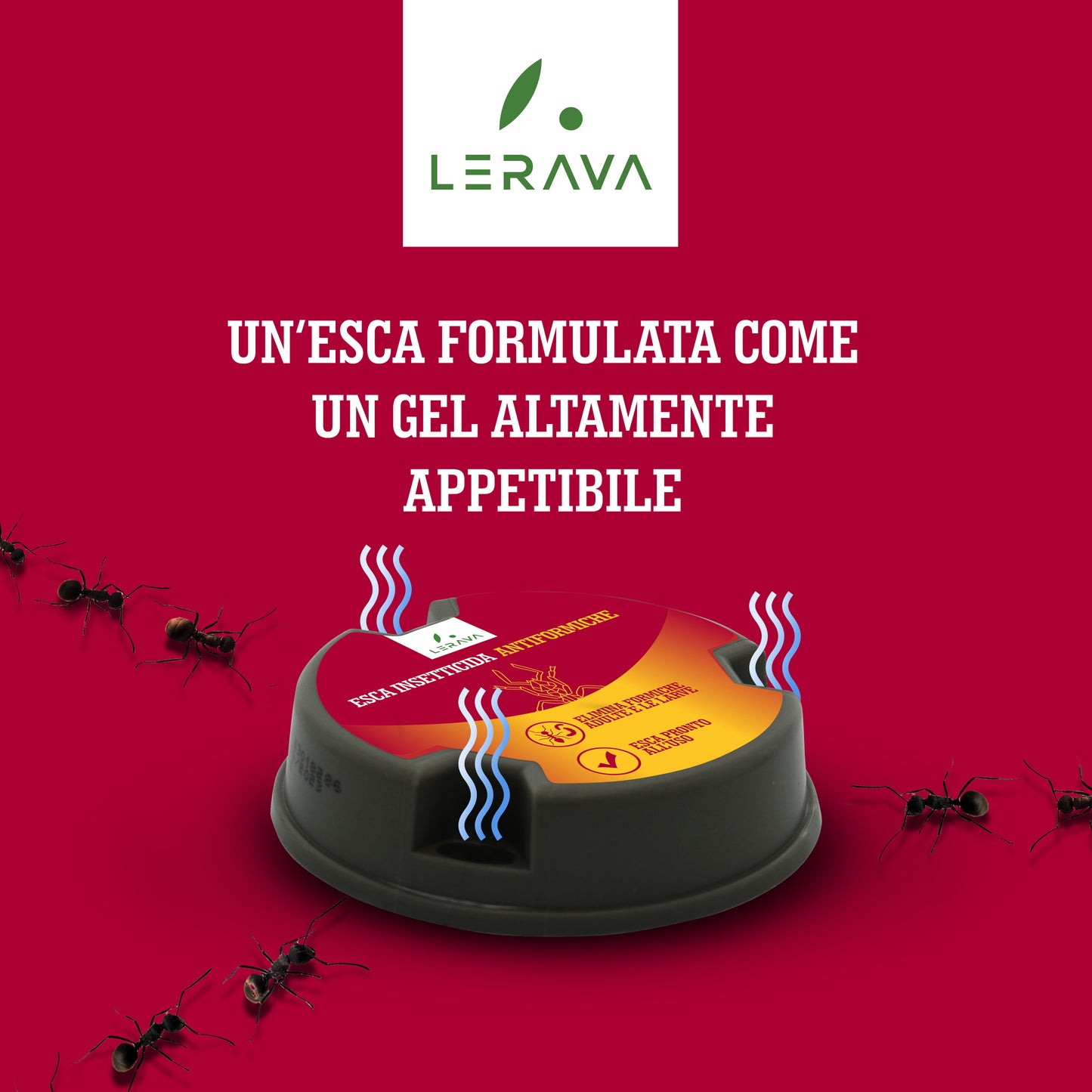Esca insetticida antiformiche