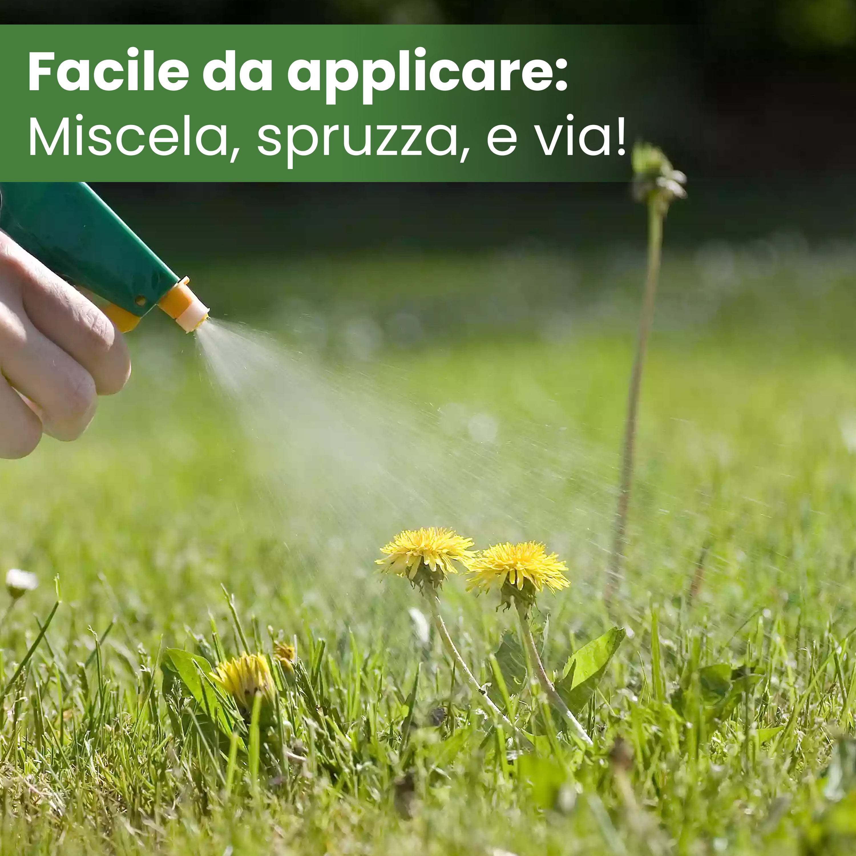 Diserbante totale per erbacce - 500ml glifosate