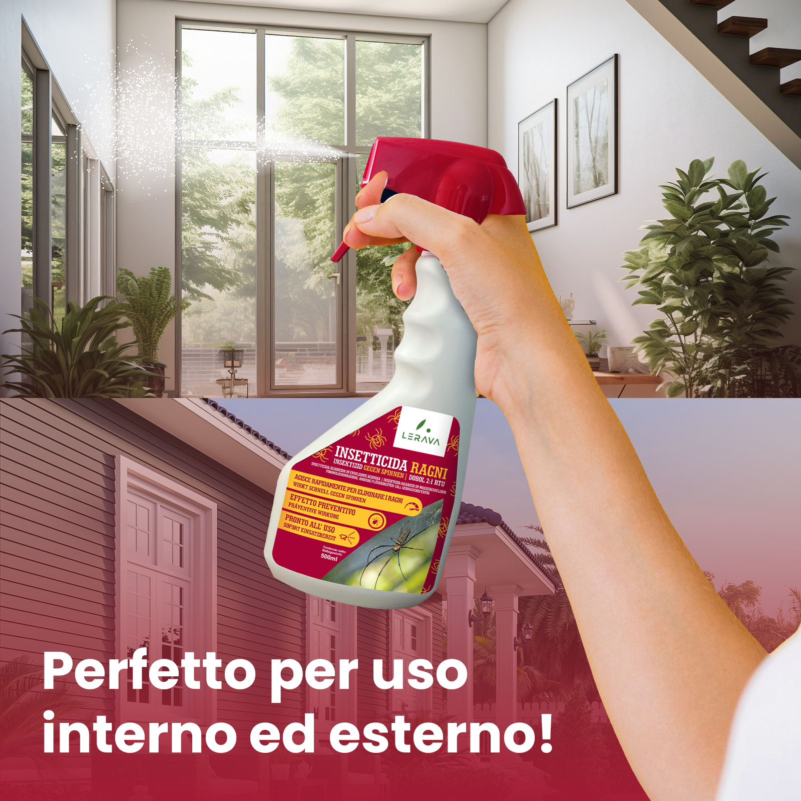 Insetticida Ragni 500ml
