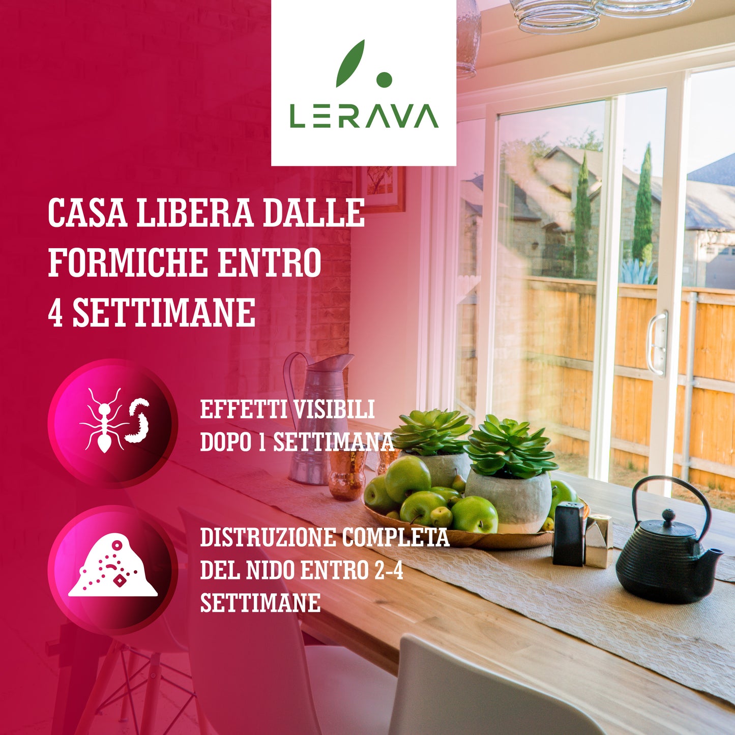 Esca insetticida antiformiche