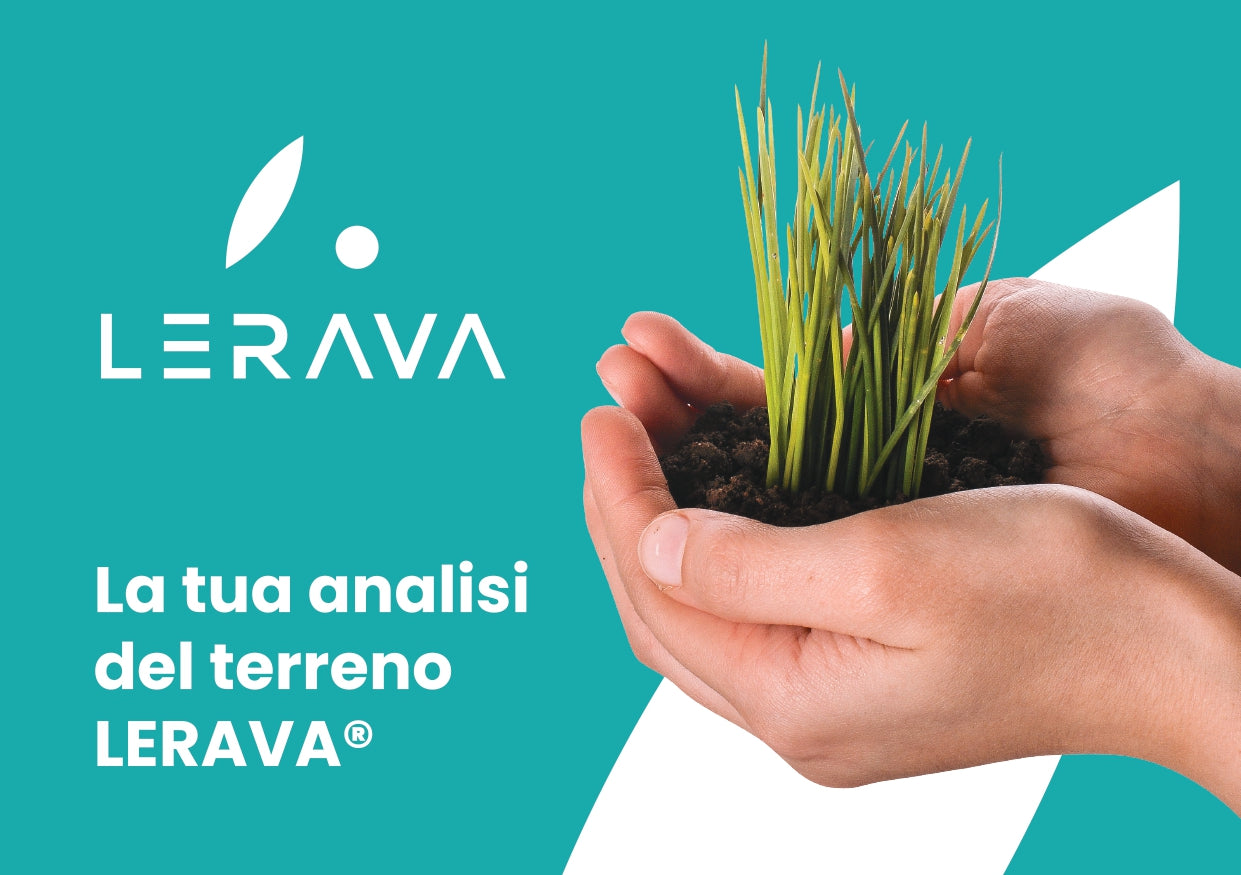 LERAVA Kit Analisi del Suolo
