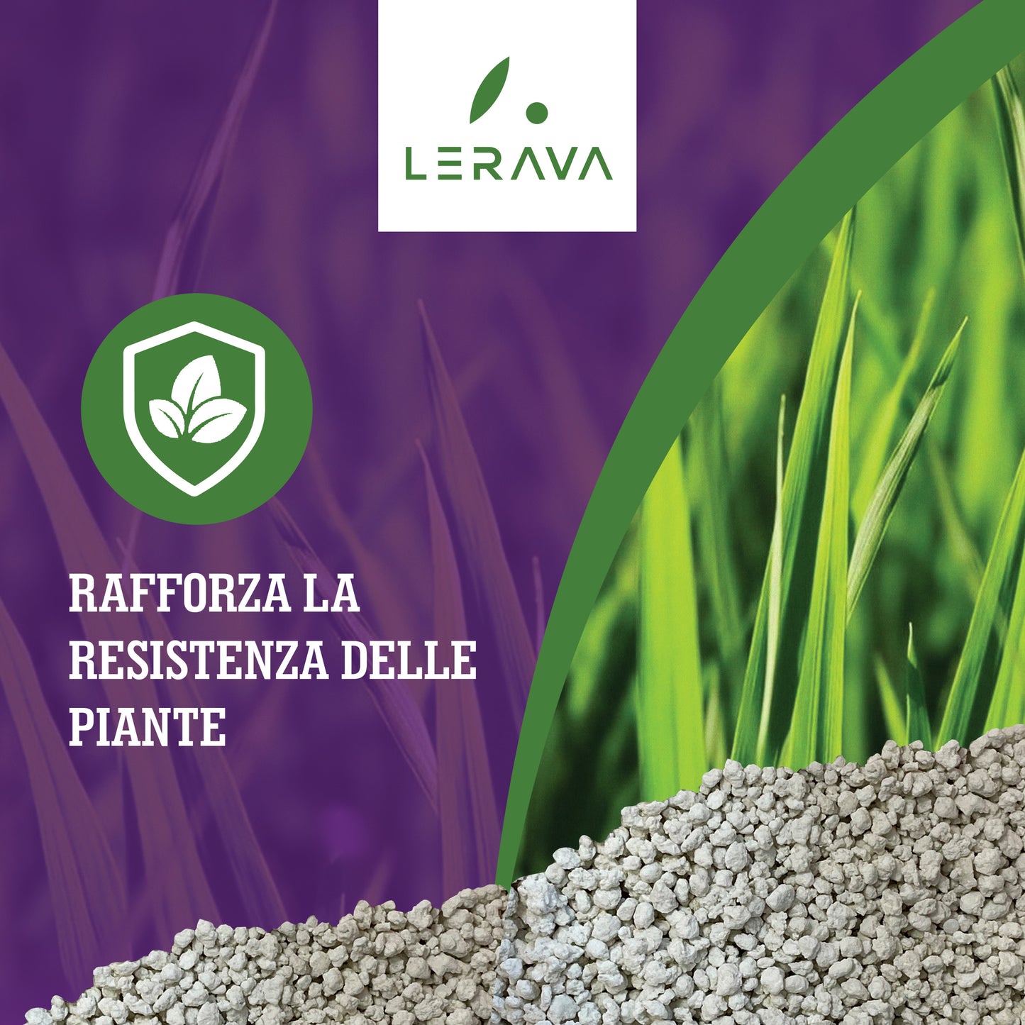 Starter - concime prato