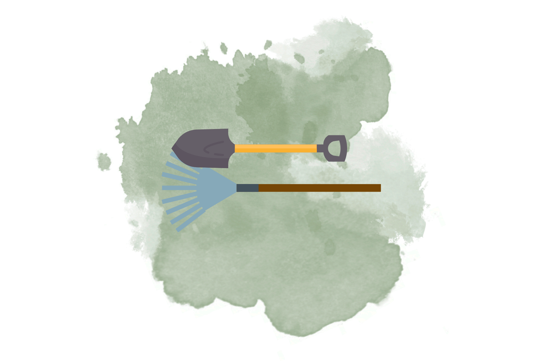 Cura del prato in primavera, tutto quello che c'è da sapere