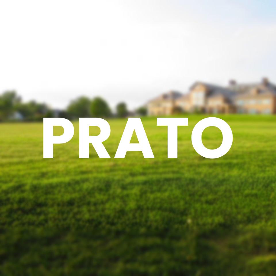 Prato