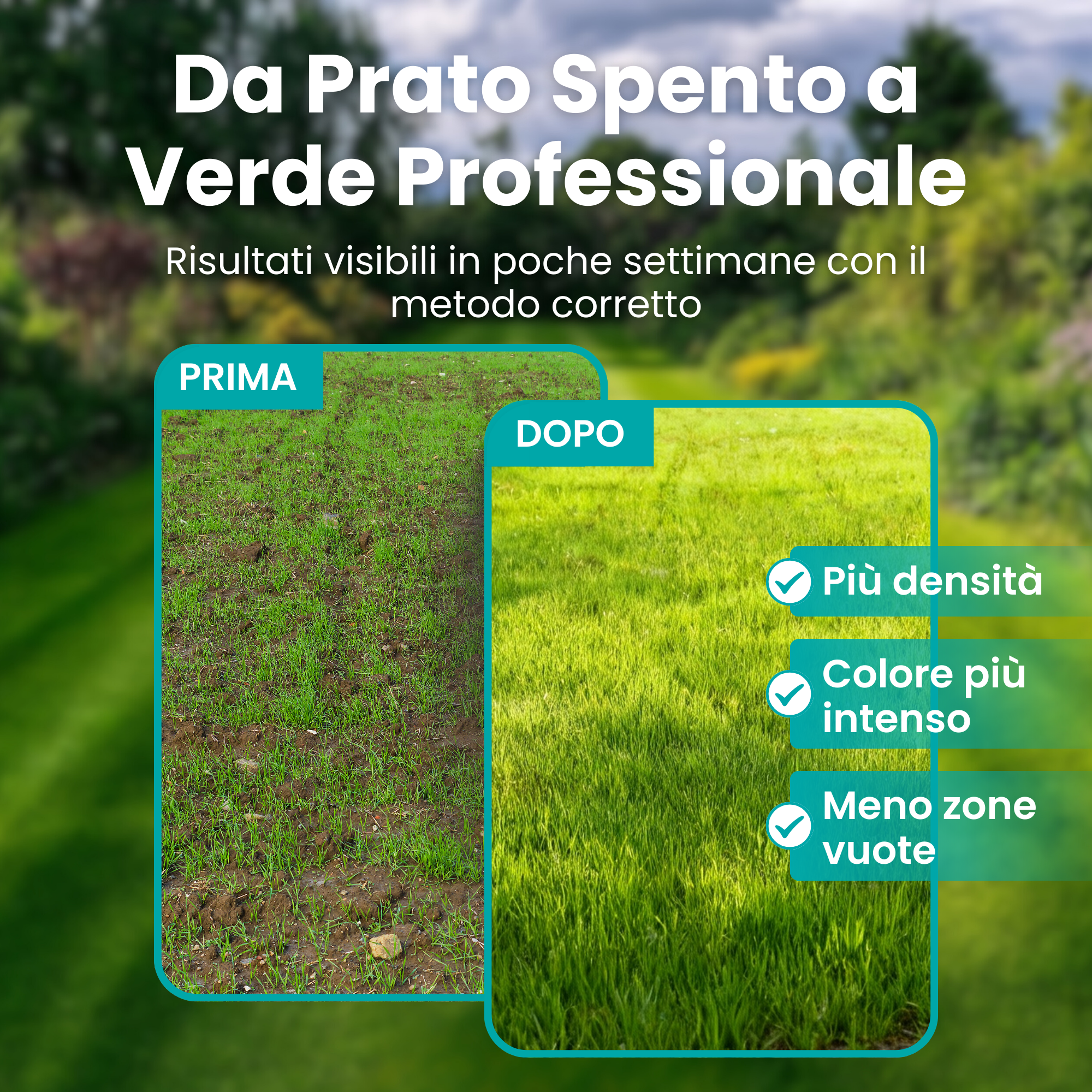 Metodo Prato Perfetto LERAVA® | All-in-one | Champion