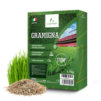#Taglia_170m² [sku-A0274][lang-DE]