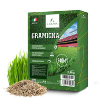 #Taglia_240m² [sku-A0275] [lang-DE]