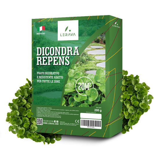 Dichondra Seeds - No Mowing Required