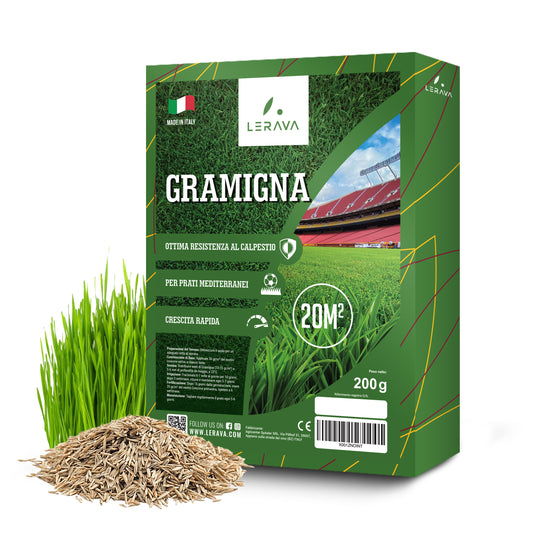Premium Bermuda-Grass-Samen