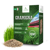 #Taglia_100m² | 1000g [sku-A0194] [lang-FR]