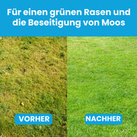 [lang-DE]