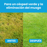 [lang-ES]