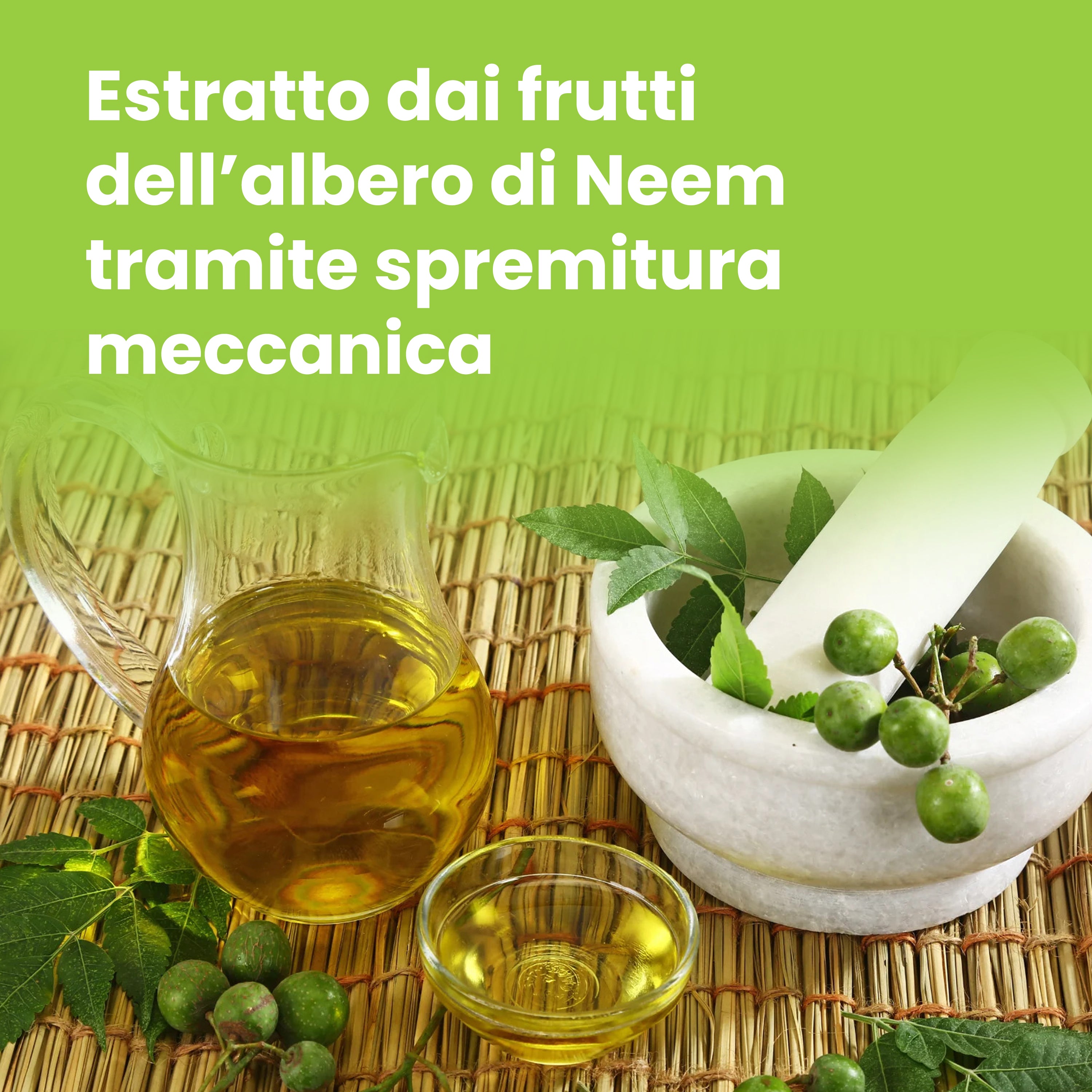 Olio di neem per piante