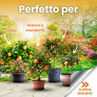 Abono granulado para cítricos