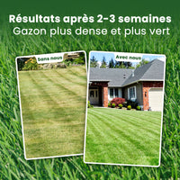  [lang-FR] [lang-NL] 