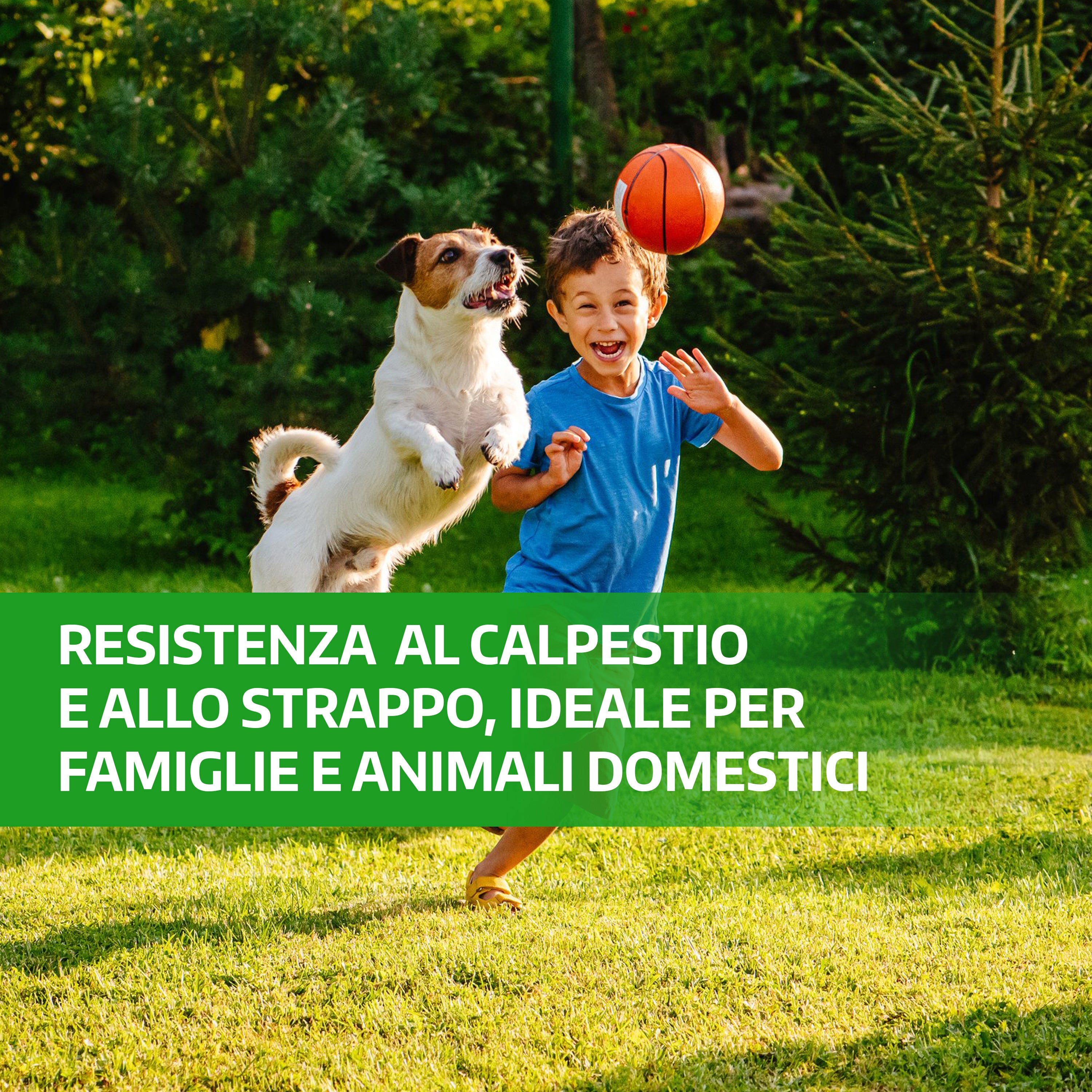 Semi Gramigna Rossa Per Prato - Cynodon Dactylon, Resistente A Caldo E Calpestio - Foto 3