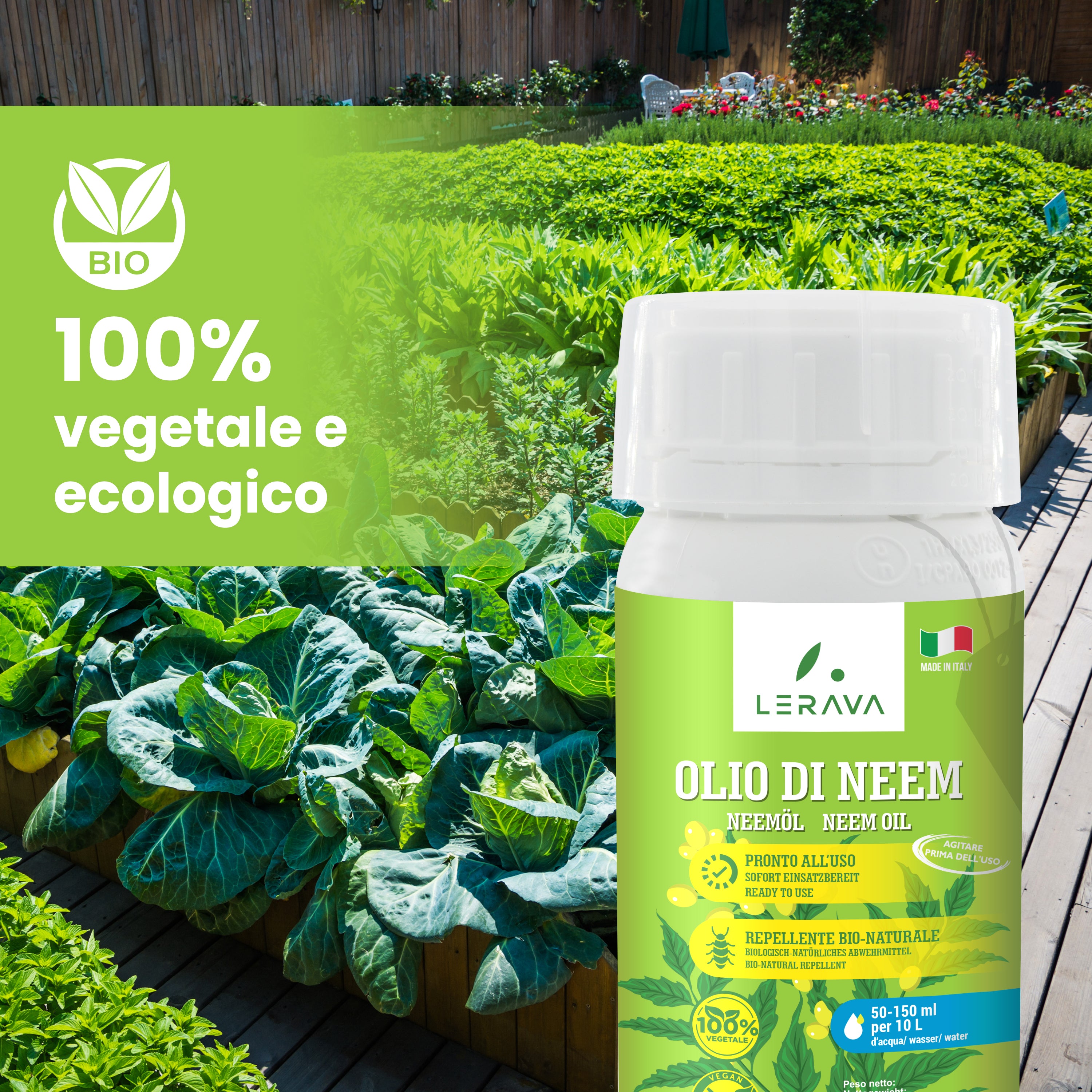 Olio di Neem Punto per Giardinaggio e Agricoltura Olio di Neem Punto per Giardinaggio e Agricoltura