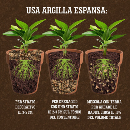 Argilla Espansa – Substrato naturale