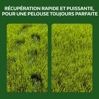 [lang-FR]