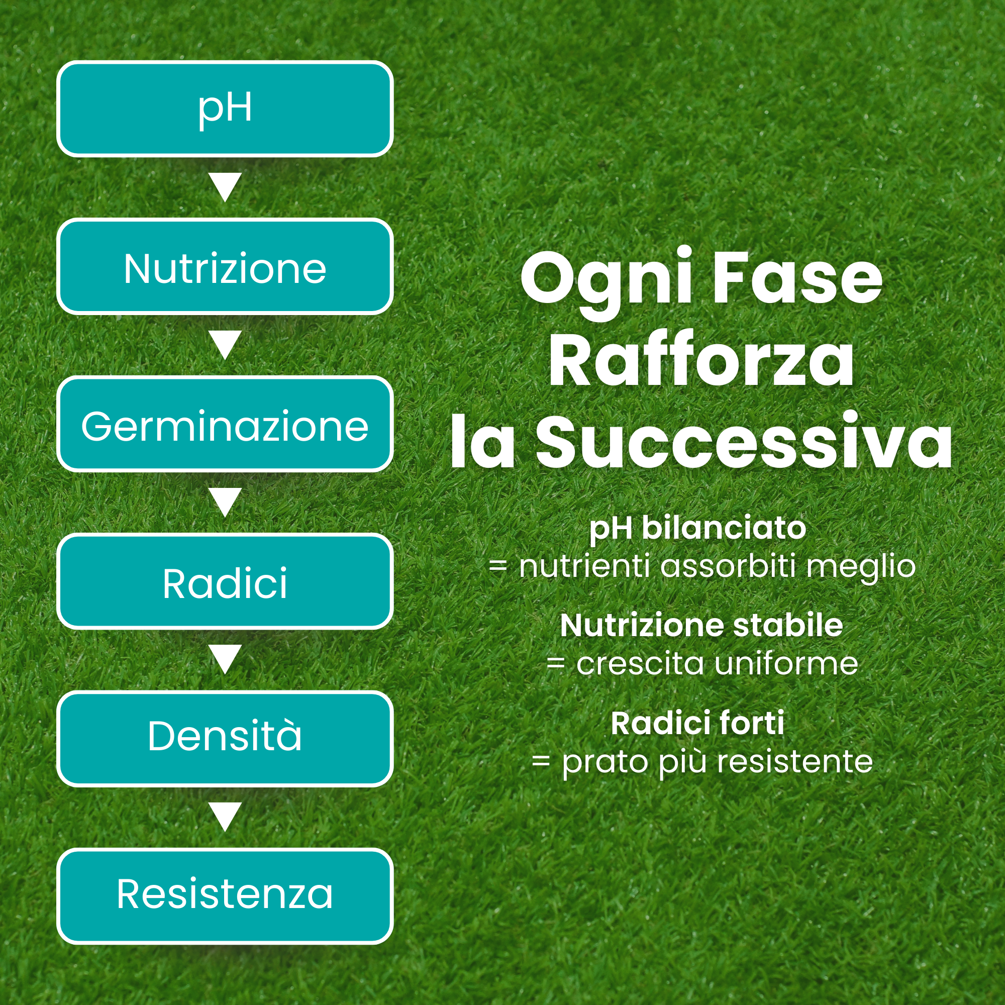 Metodo Prato Perfetto LERAVA® | All-in-one | Express