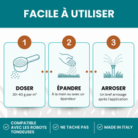 [LANG-FR]