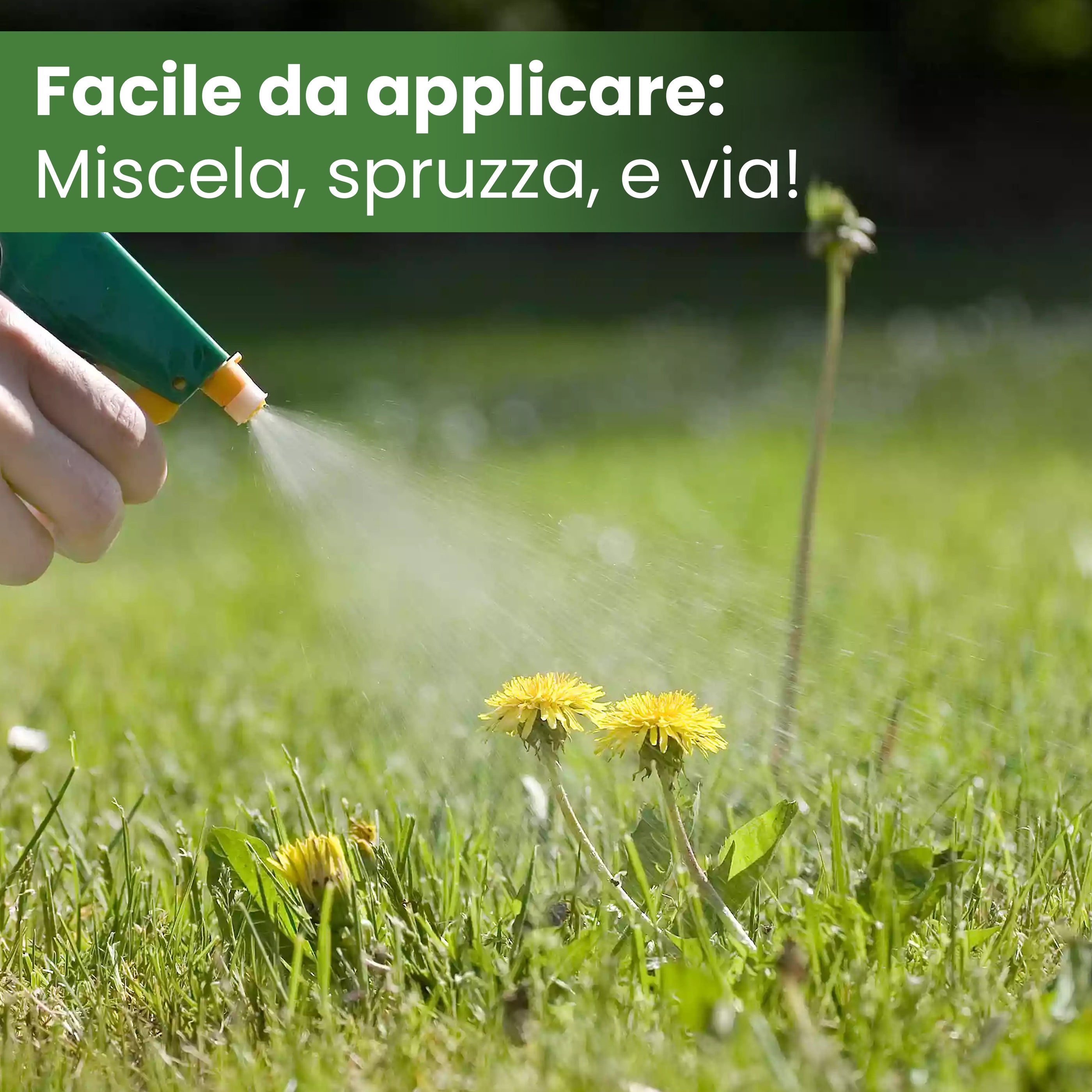 SBM DISERBANTE PFnPE. GREENEX NF 40 ML