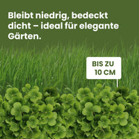 [lang-de]