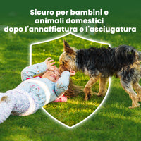 [lang-IT]