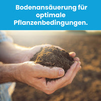 [lang-DE]