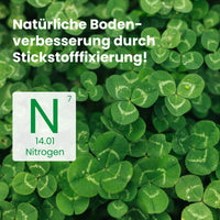 [lang-de]