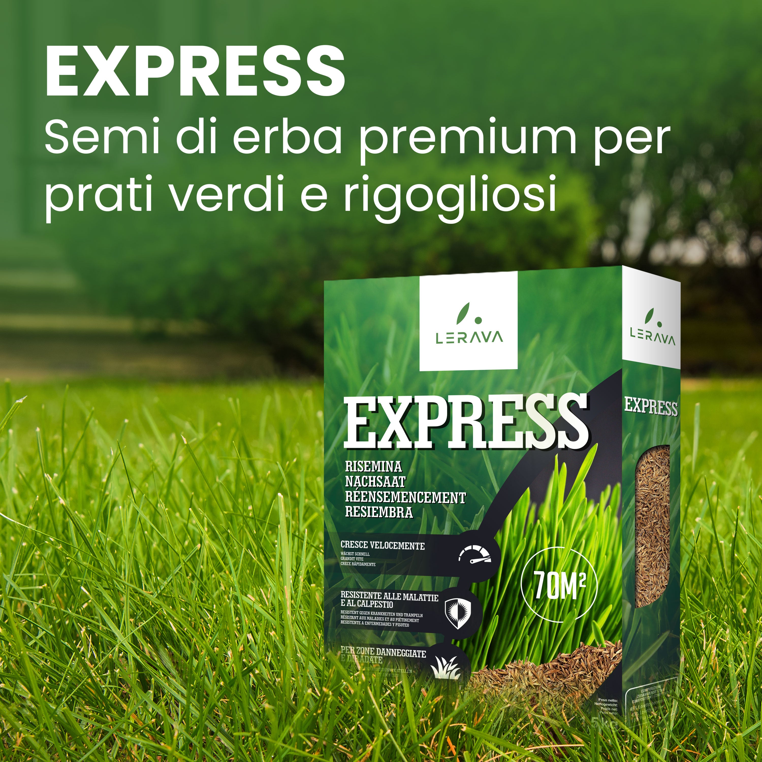 EXPRESS Lawn Seed