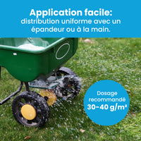 [lang-FR] [lang-NL]