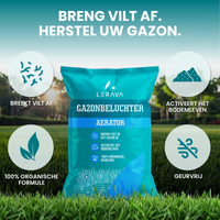 [lang-NL]