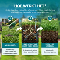 [lang-NL]