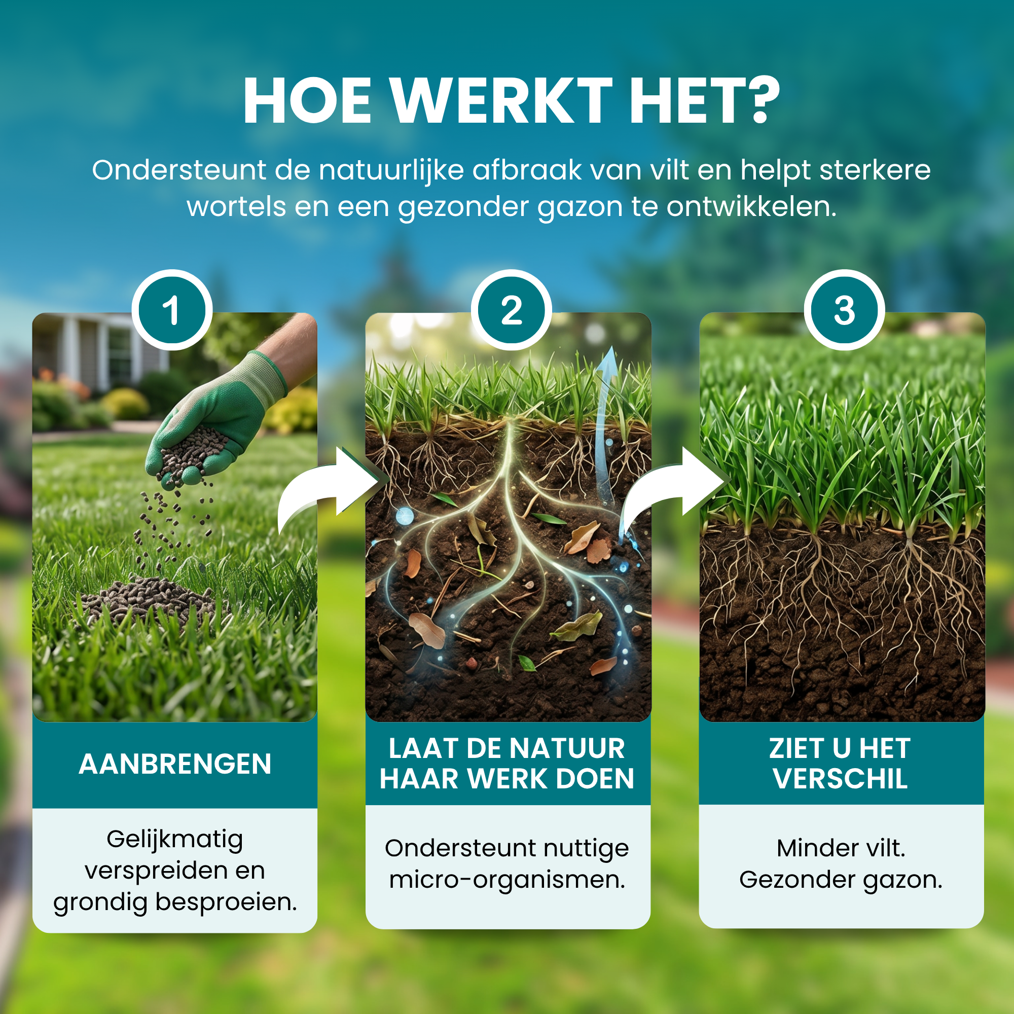 [lang-NL]