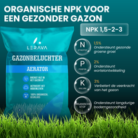 [lang-NL]