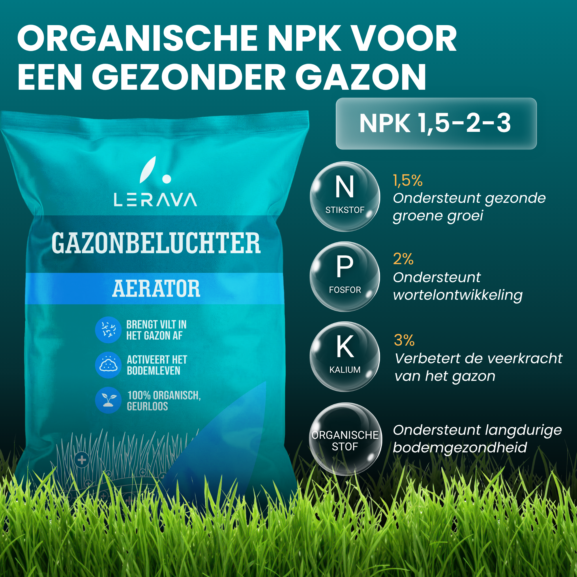 [lang-NL]