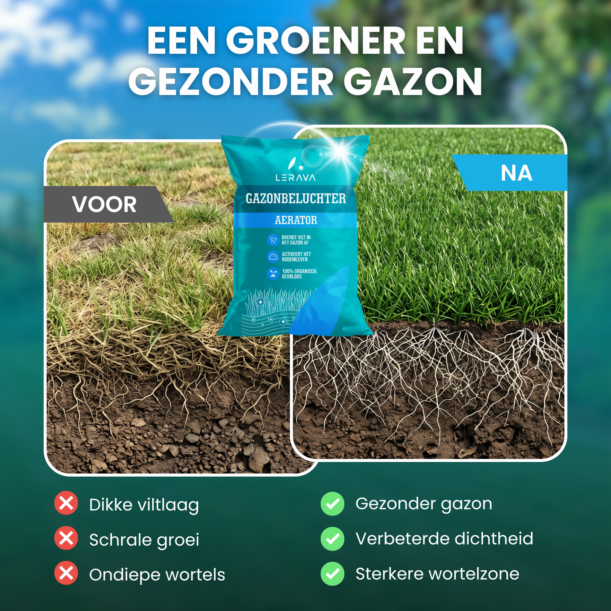 [lang-NL]