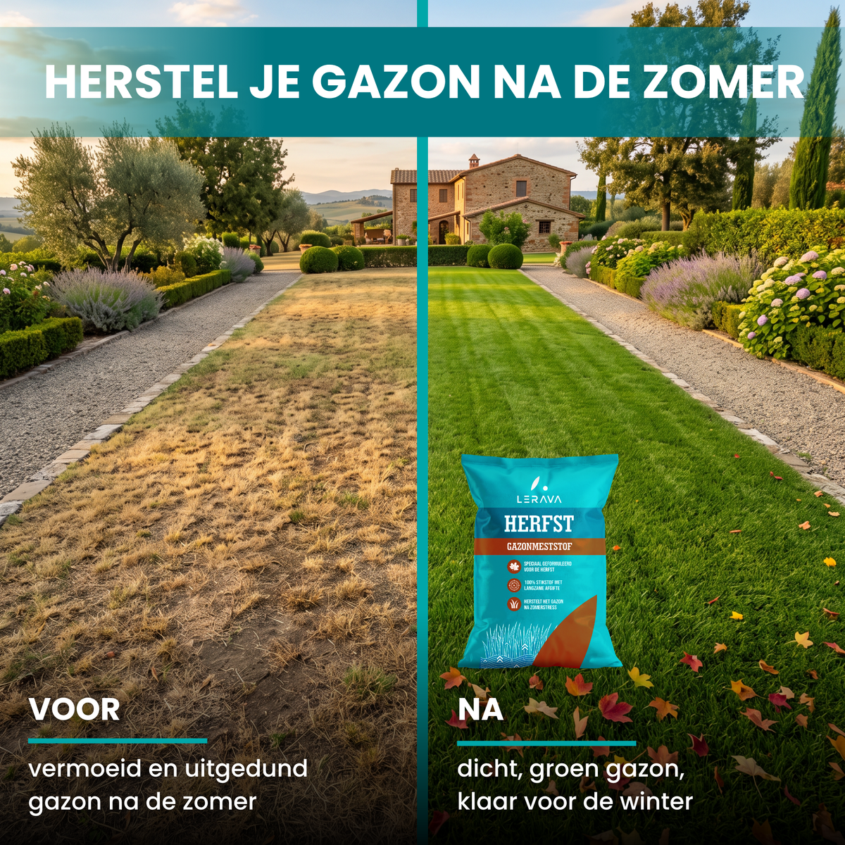  [LANG-NL]