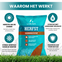  [LANG-NL]