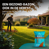  [LANG-NL]