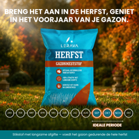  [LANG-NL]